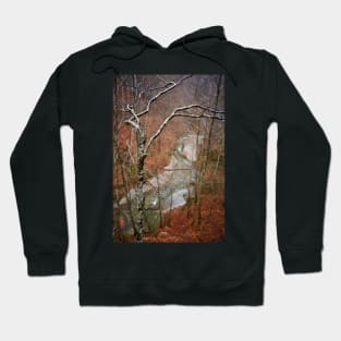 River in the mountains Hoodie